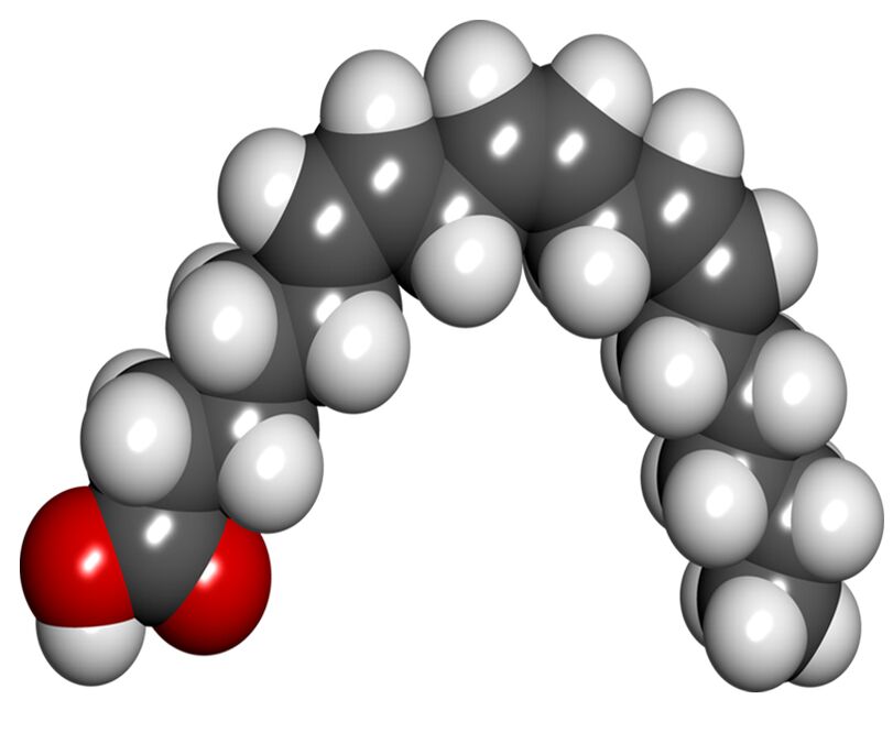 Gamma-Linolensäure in Diaform Plus